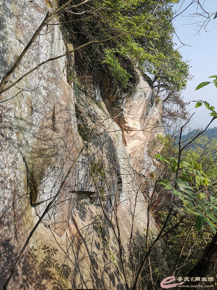 DSC_3963.jpg