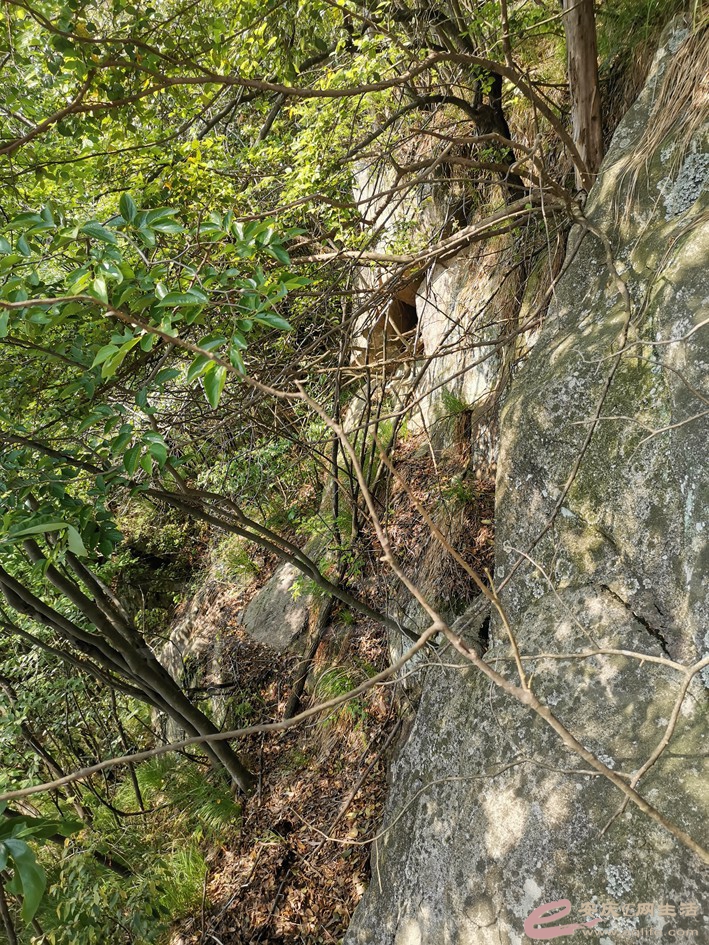 DSC_3969.jpg