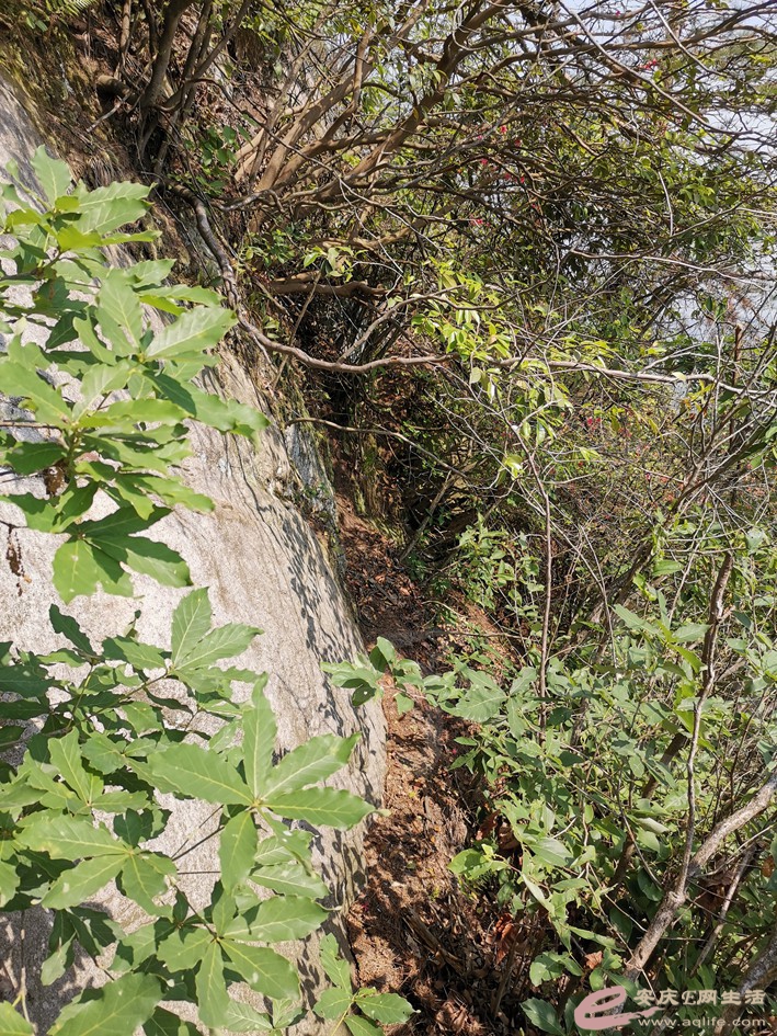 DSC_3979.jpg
