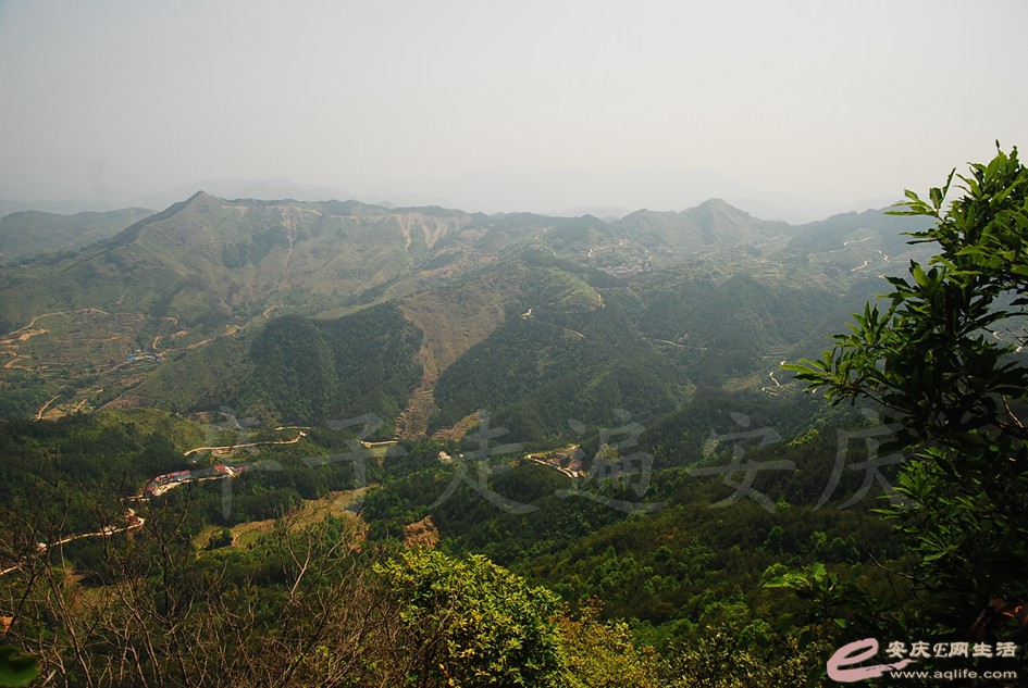 DSC_3986.jpg
