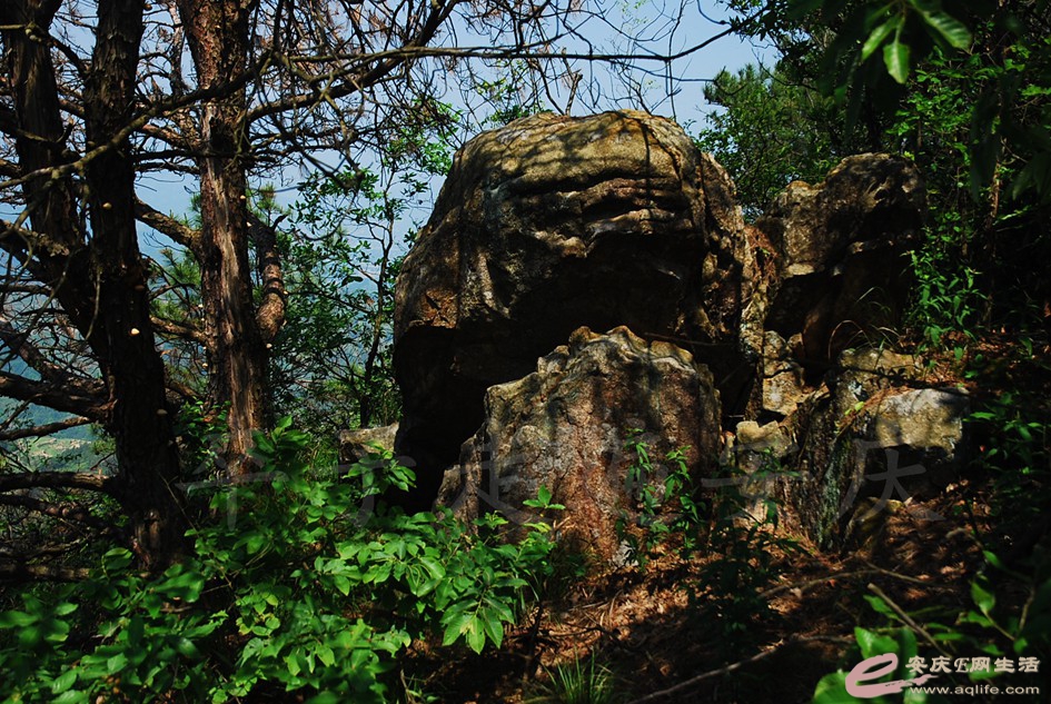 DSC_4006.jpg