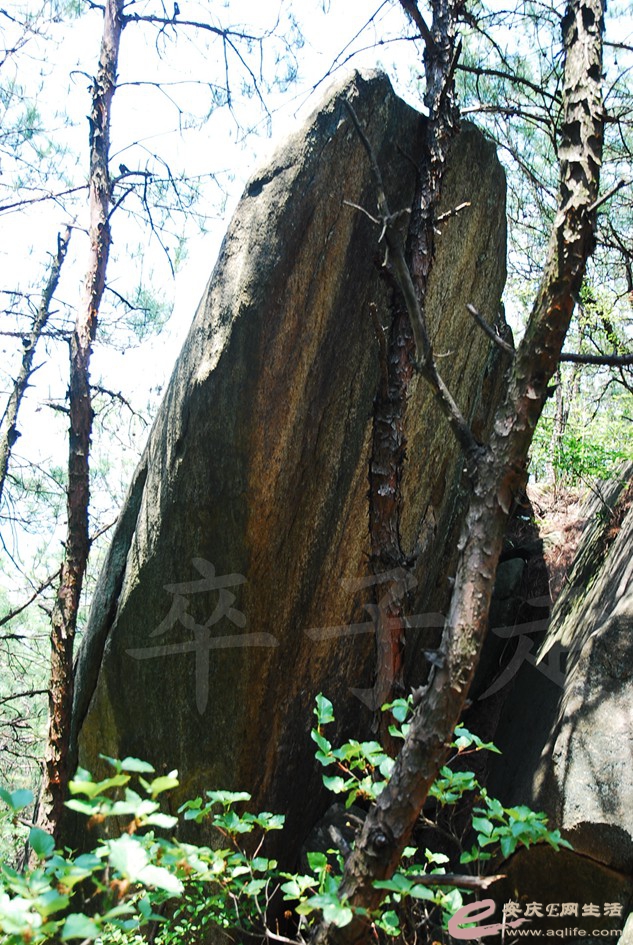 DSC_4048.jpg