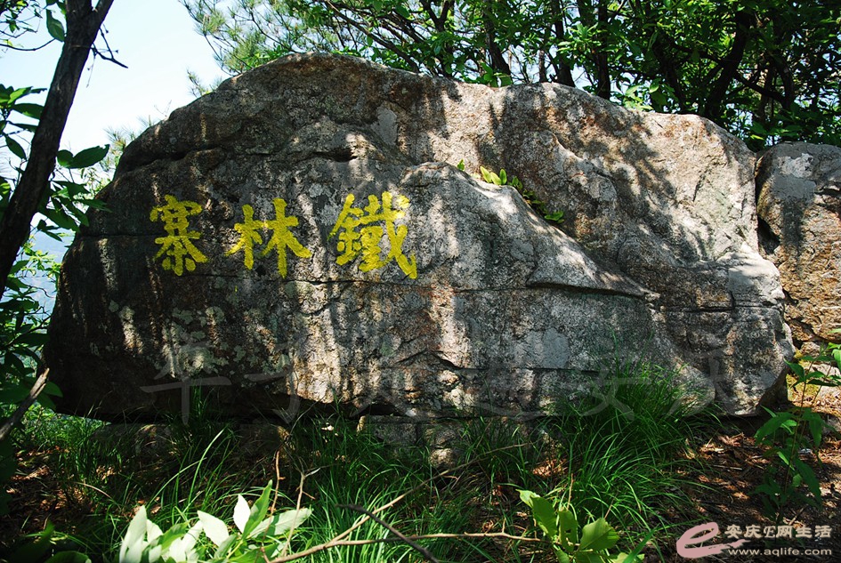 DSC_4049.jpg