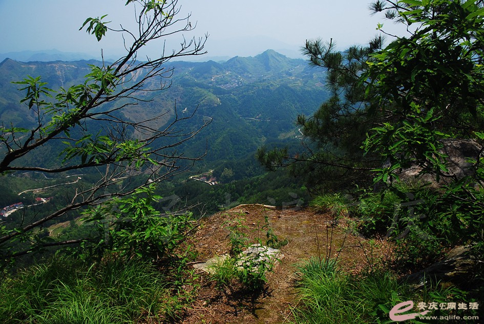 DSC_4050.jpg