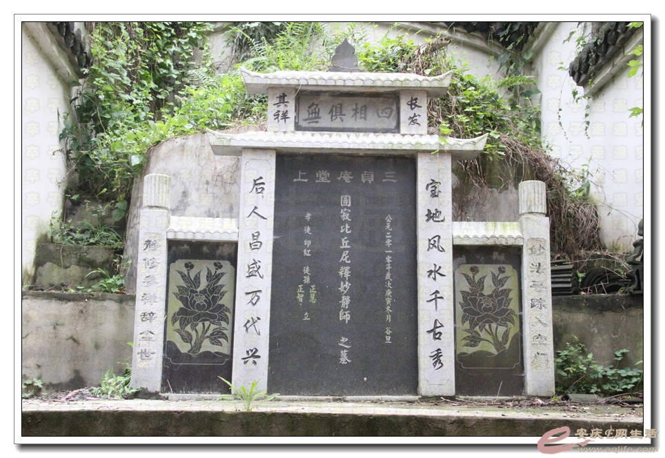20150718 249.jpg