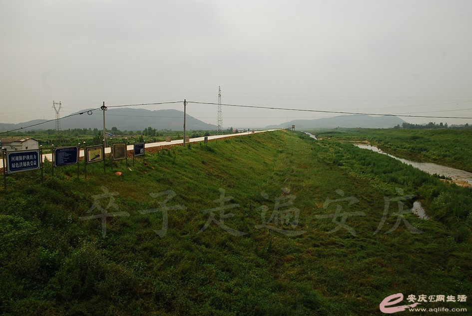 DSC_4022.jpg