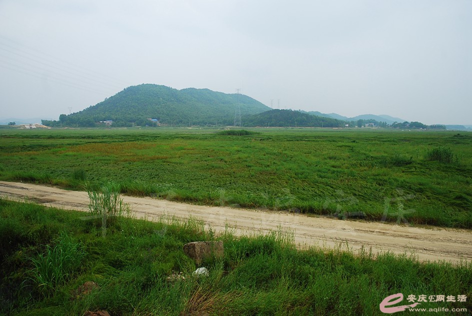 DSC_4041.jpg
