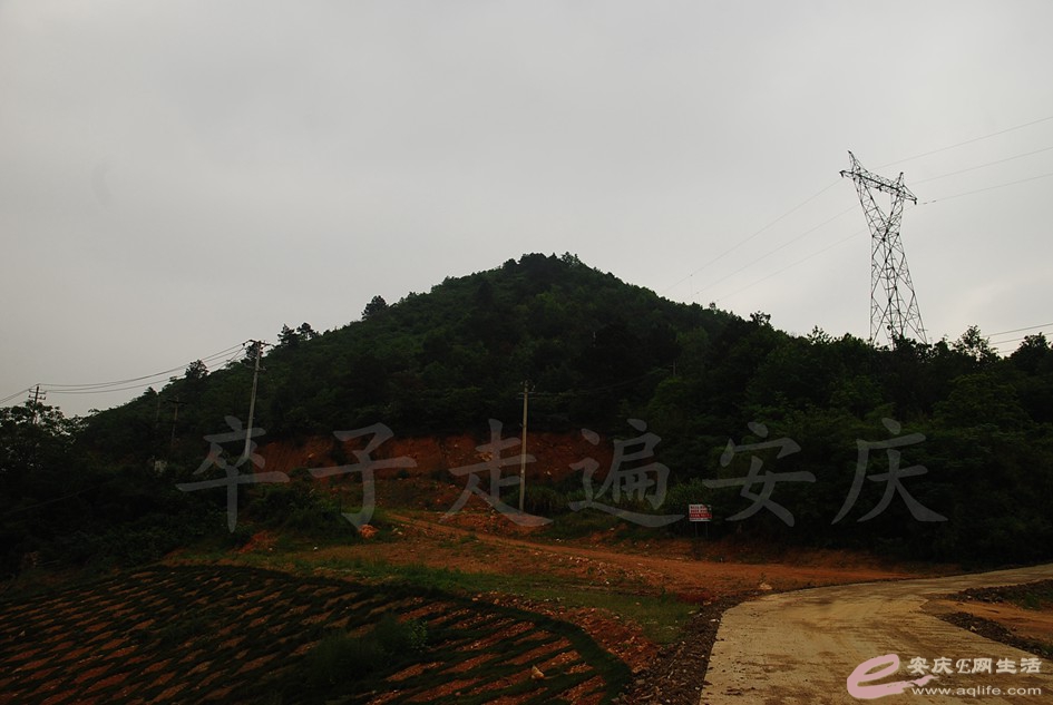 DSC_4095.jpg