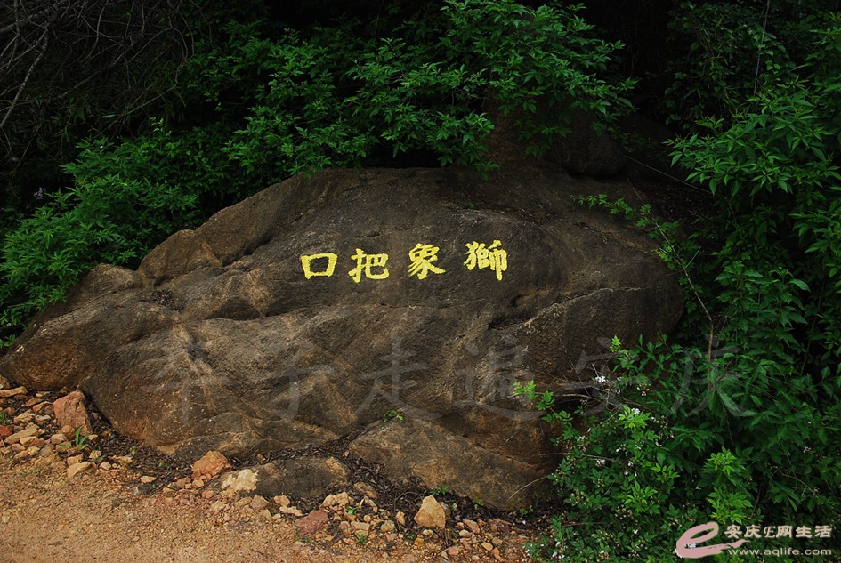 DSC_4111.jpg