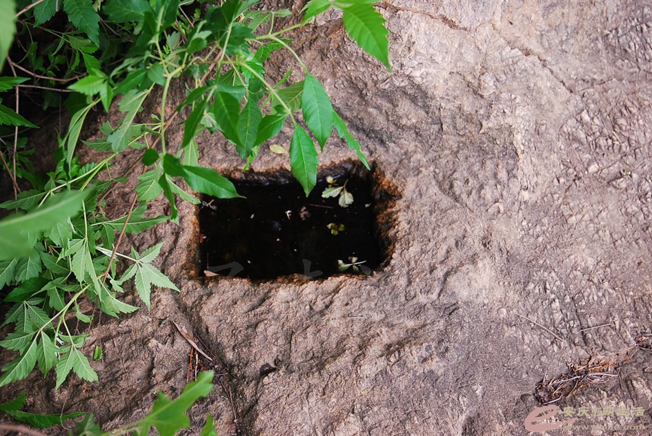 DSC_4113.jpg