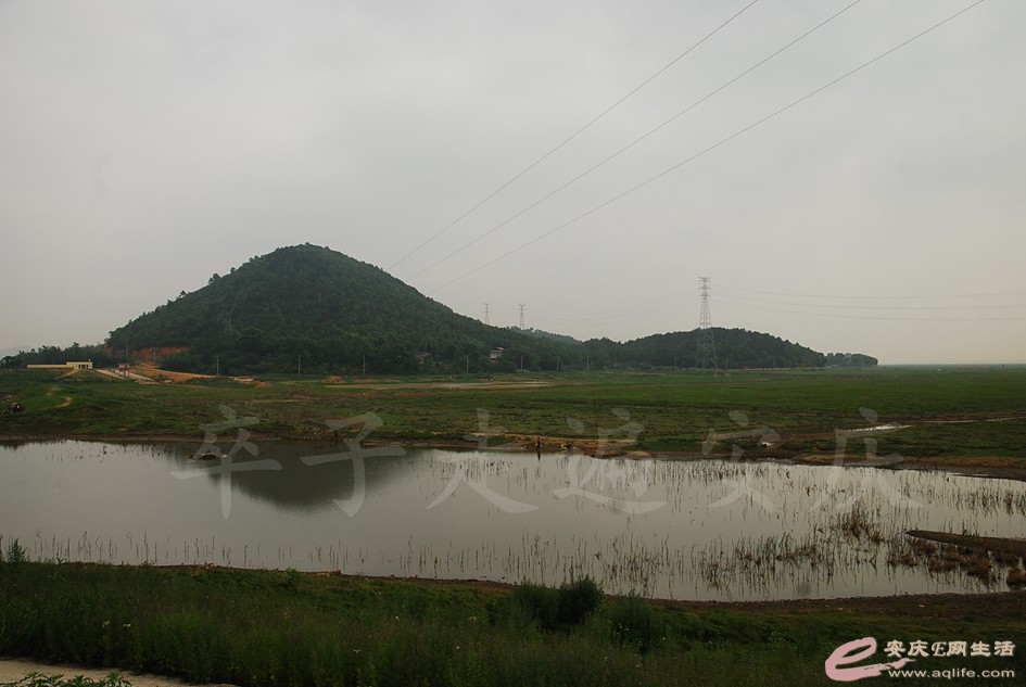 DSC_4125.jpg