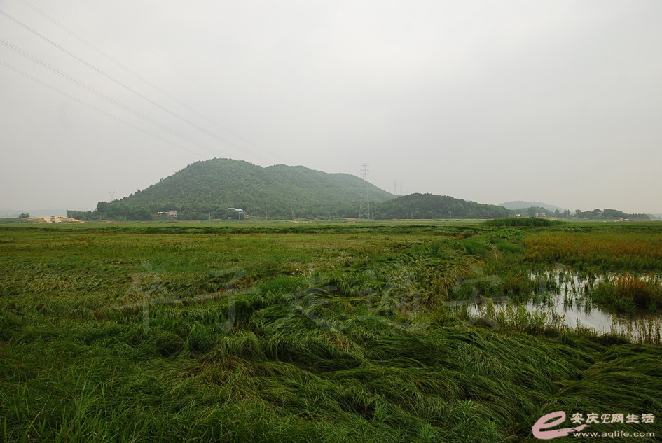 DSC_4136.jpg