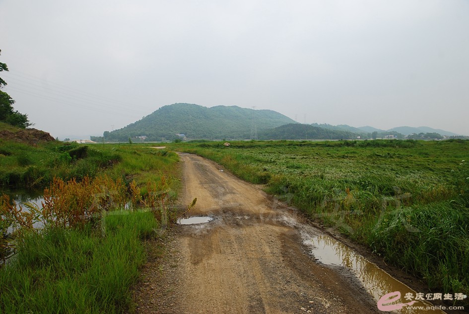 DSC_4149.jpg