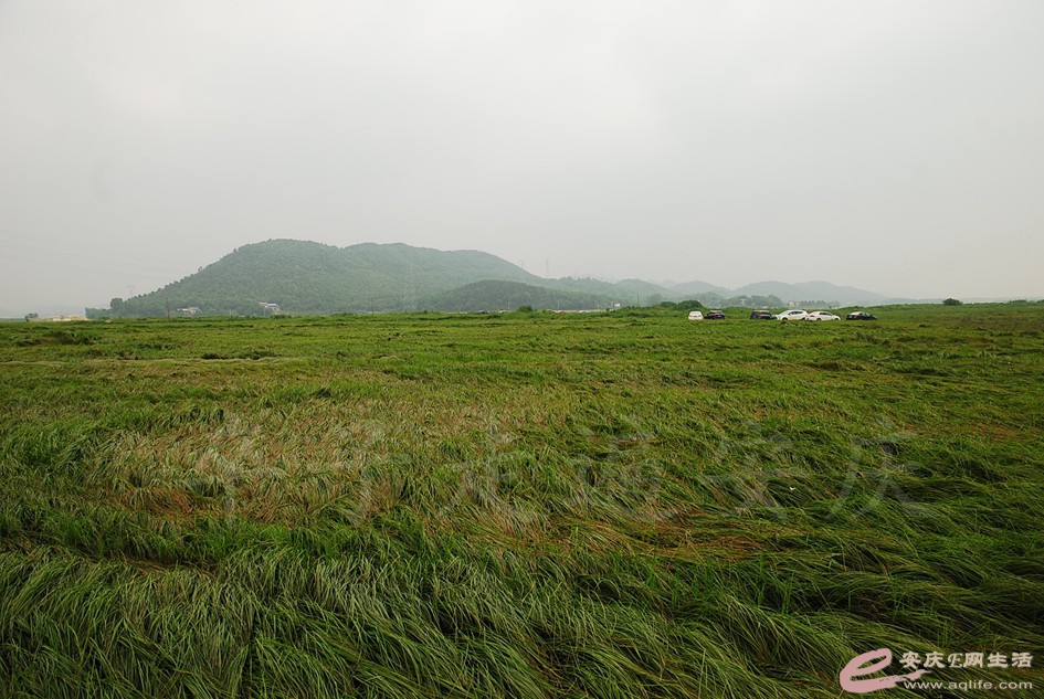 DSC_4154.jpg