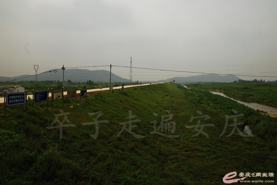 DSC_4104.jpg