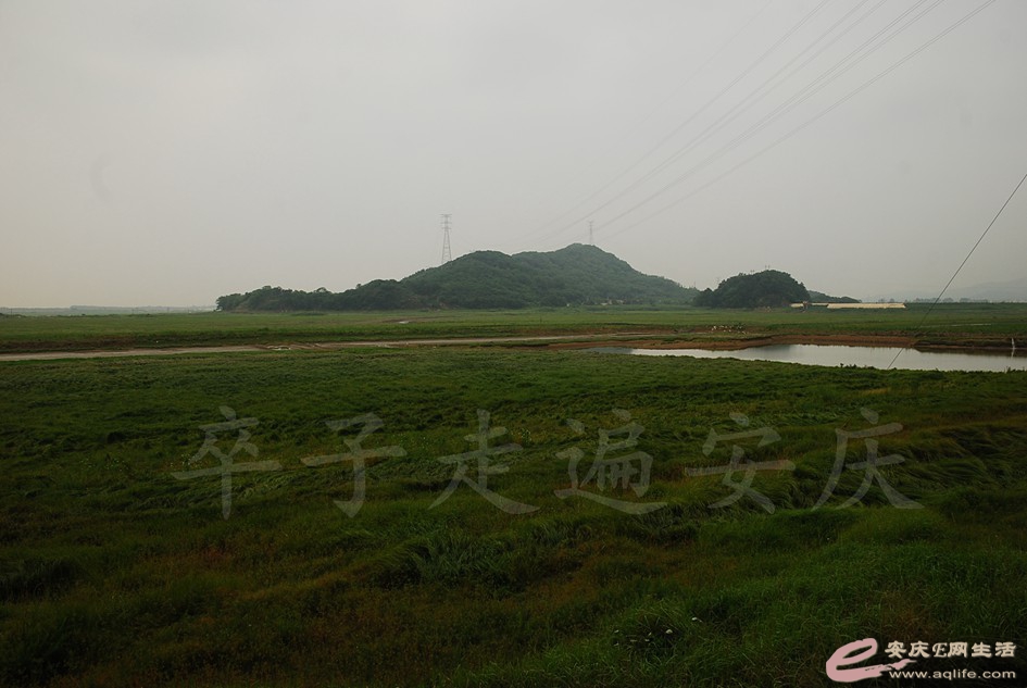 DSC_4108.jpg
