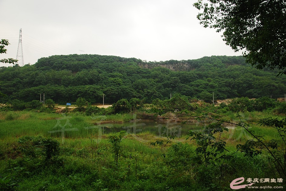 DSC_4134.jpg