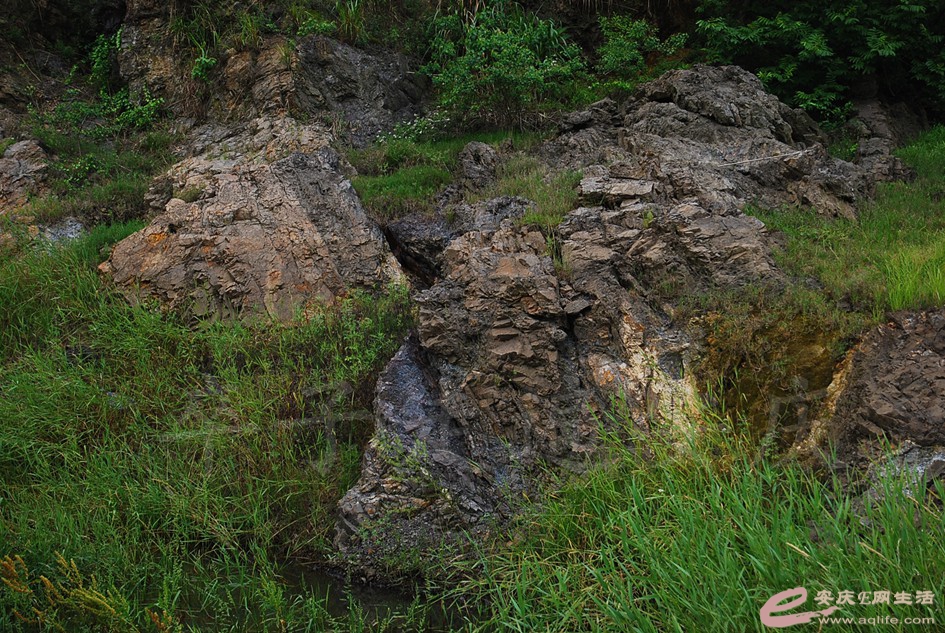 DSC_4143.jpg