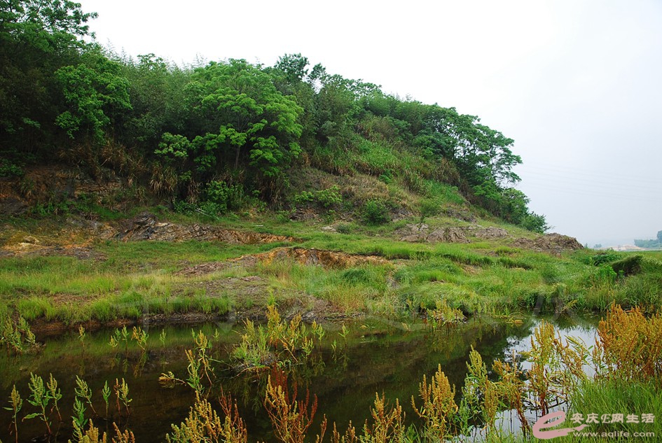 DSC_4148.jpg