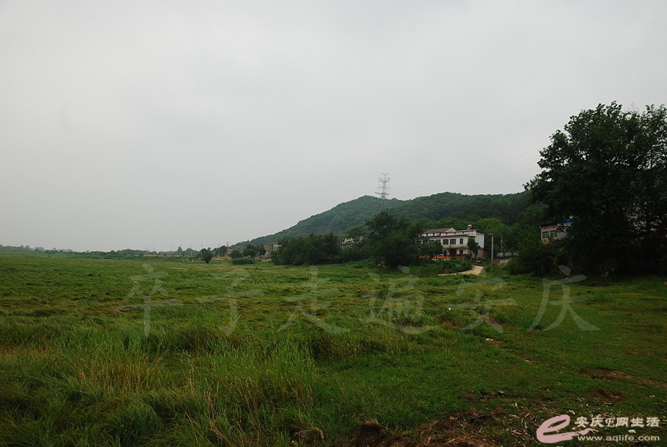 DSC_4150.jpg