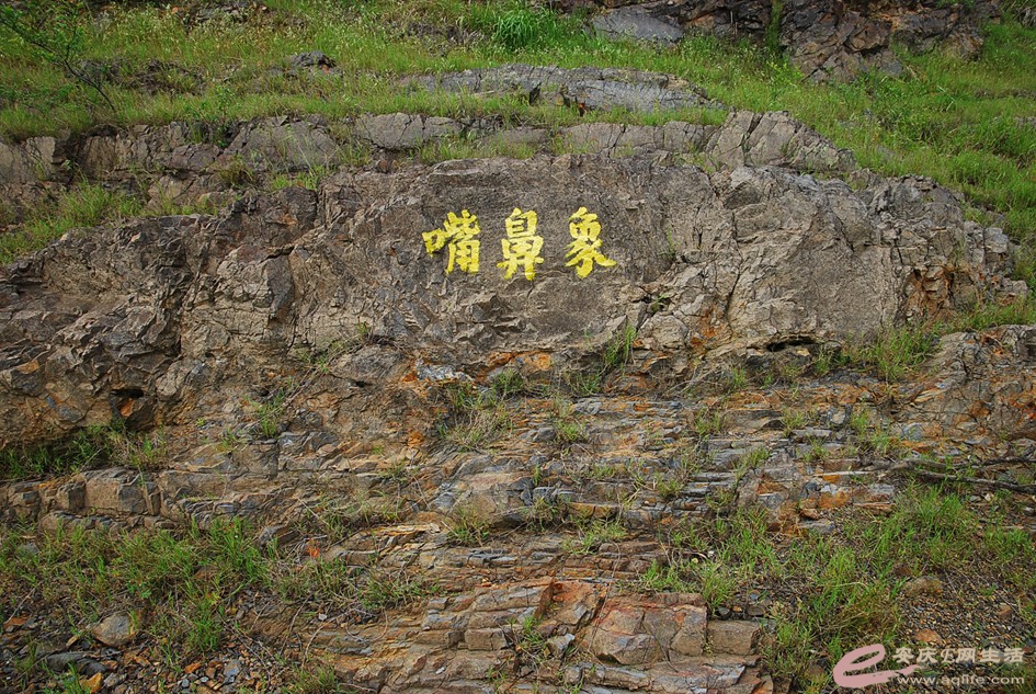 DSC_4152.jpg