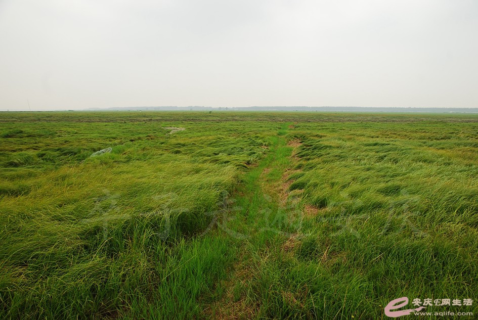 DSC_4153.jpg