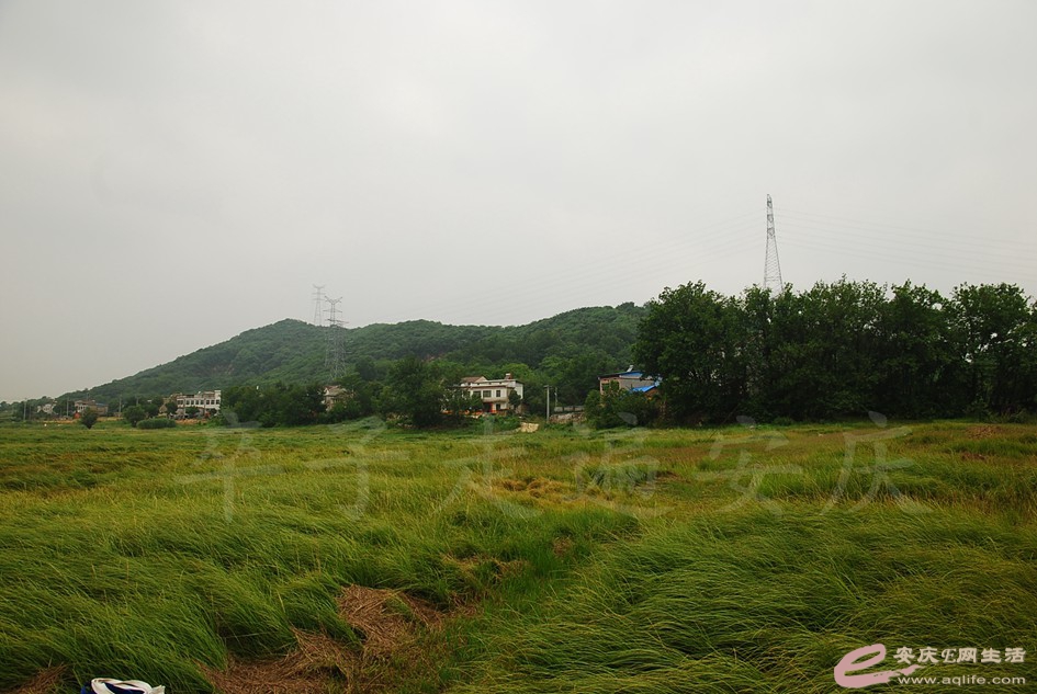 DSC_4159.jpg