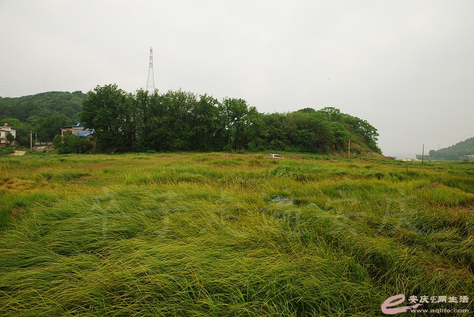 DSC_4164.jpg
