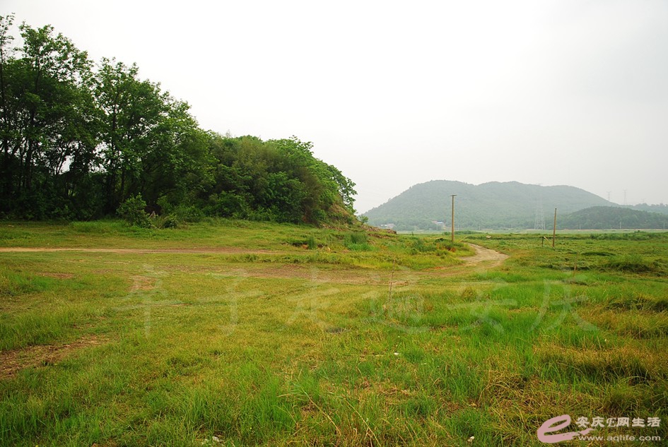 DSC_4168.jpg