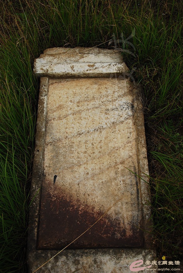 DSC_4174.jpg