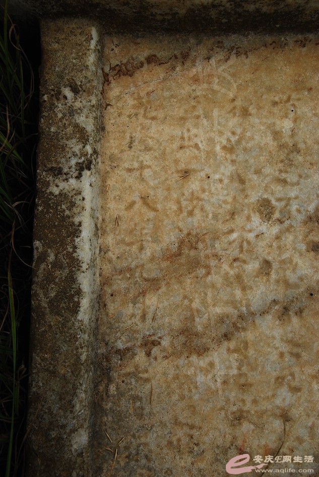 DSC_4176.jpg
