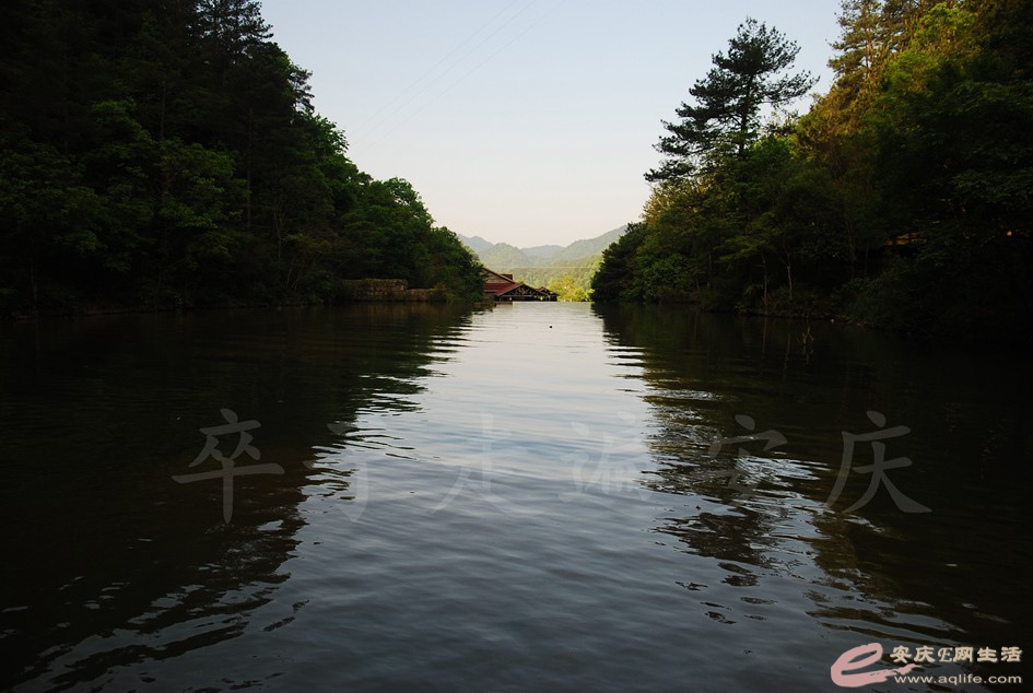 DSC_5015.jpg