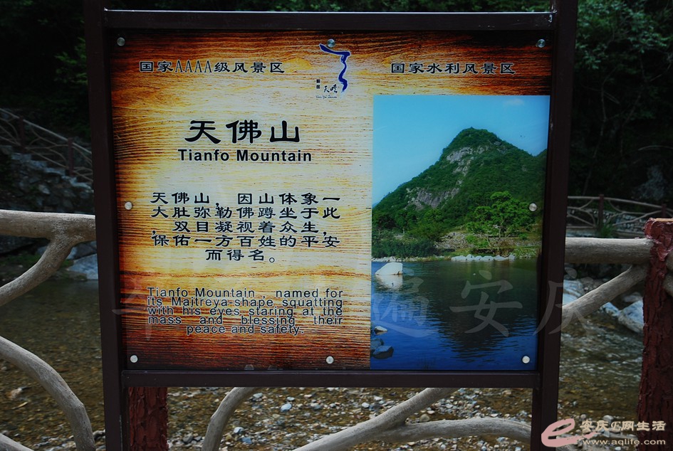 DSC_5022.jpg
