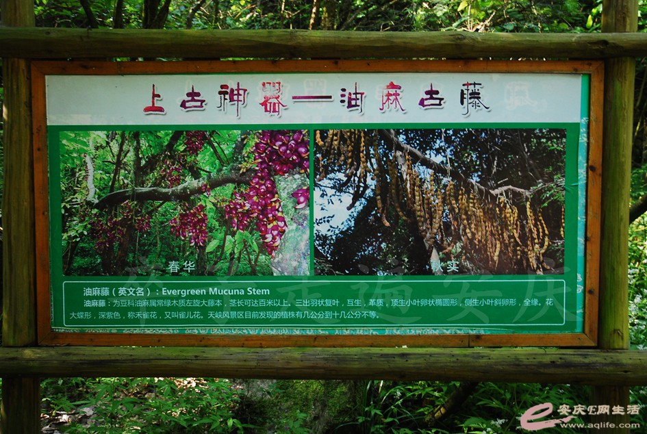DSC_5045.jpg