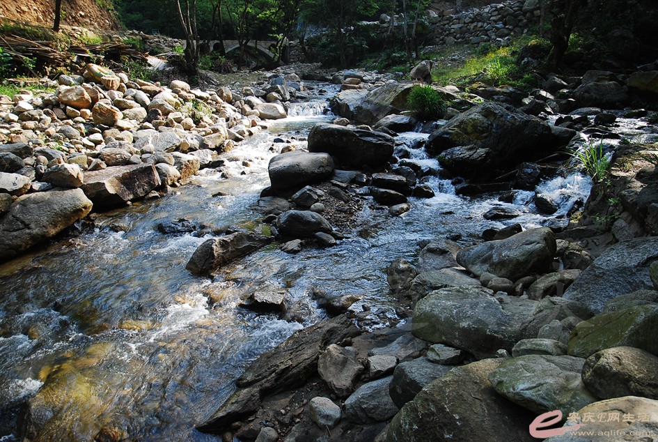 DSC_5082.jpg