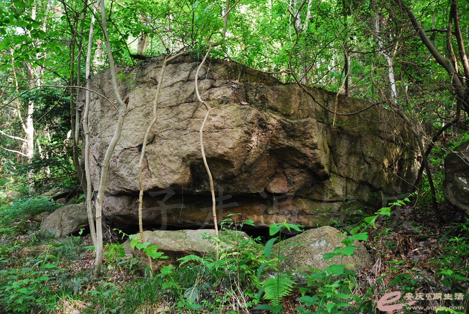 DSC_4207.jpg