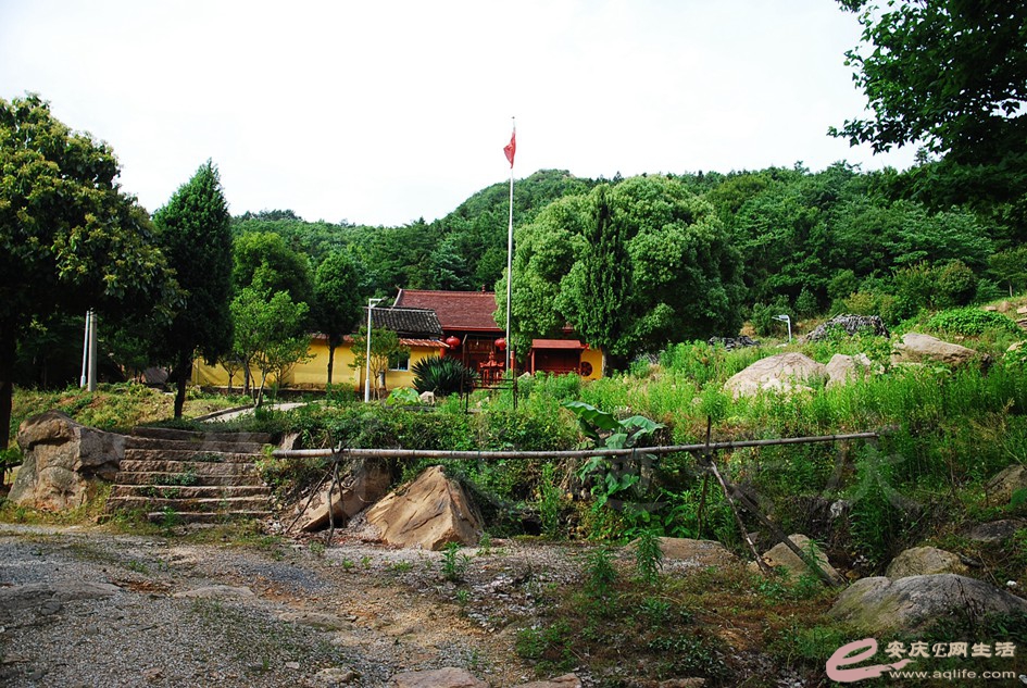 DSC_4210.jpg