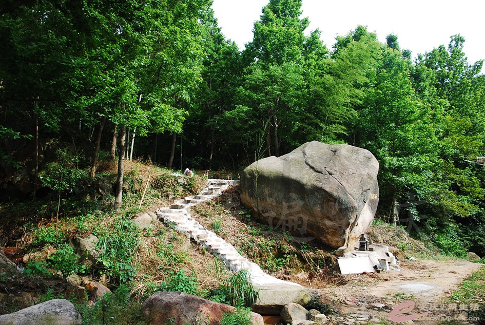 DSC_4214.jpg