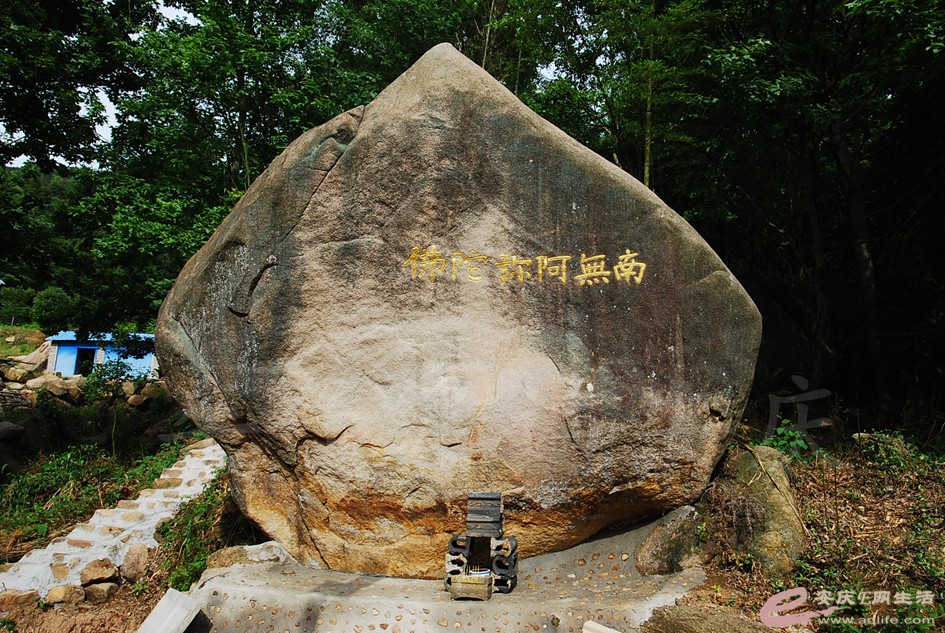 DSC_4215.jpg