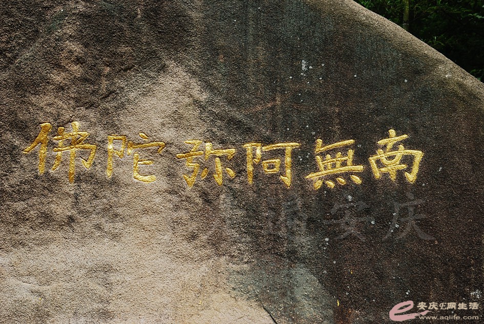 DSC_4219.jpg
