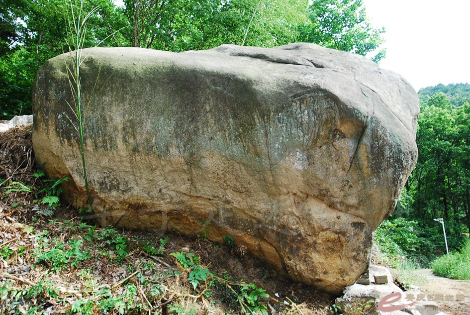 DSC_4224.jpg