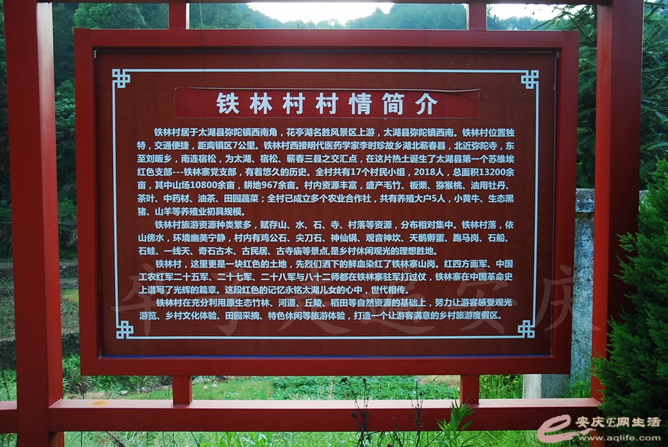 DSC_3874.jpg