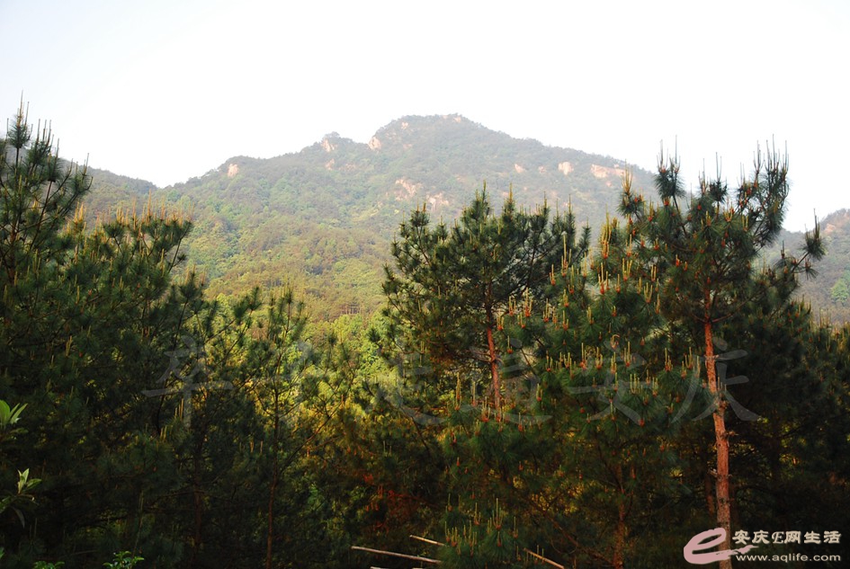 DSC_3912.jpg