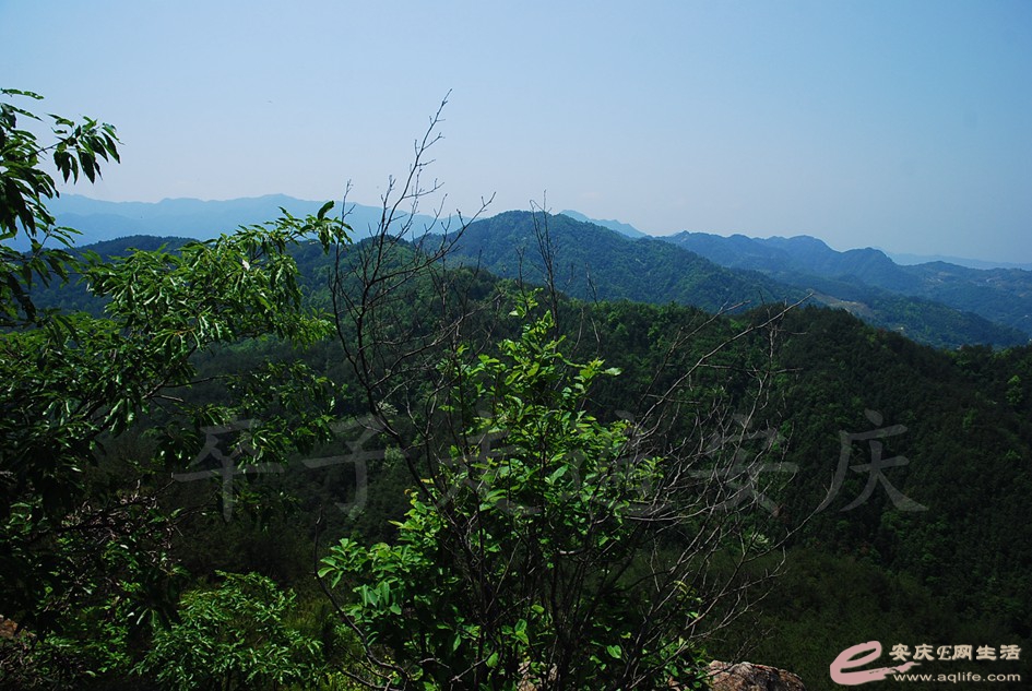 DSC_4010.jpg