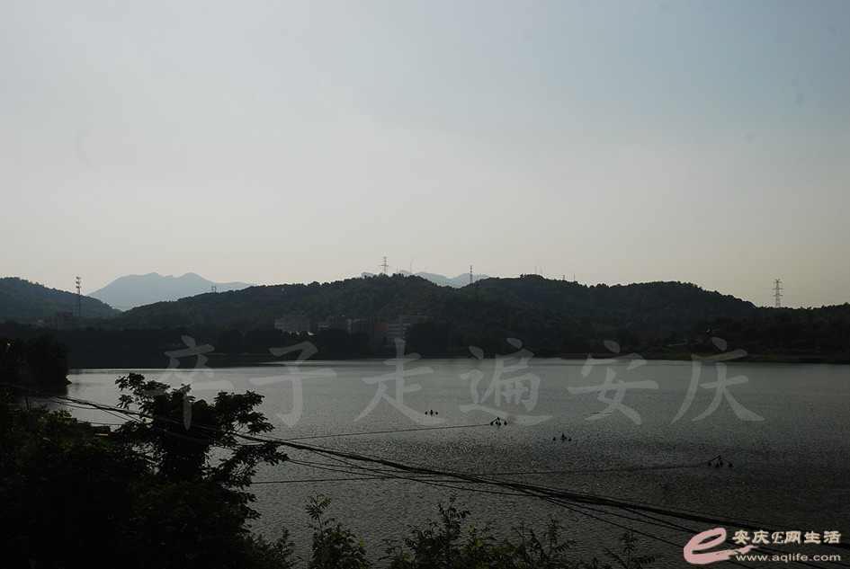 DSC_4274.jpg