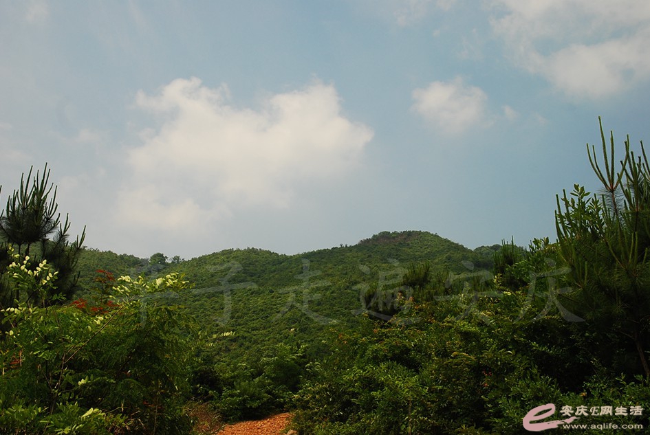DSC_4285.jpg