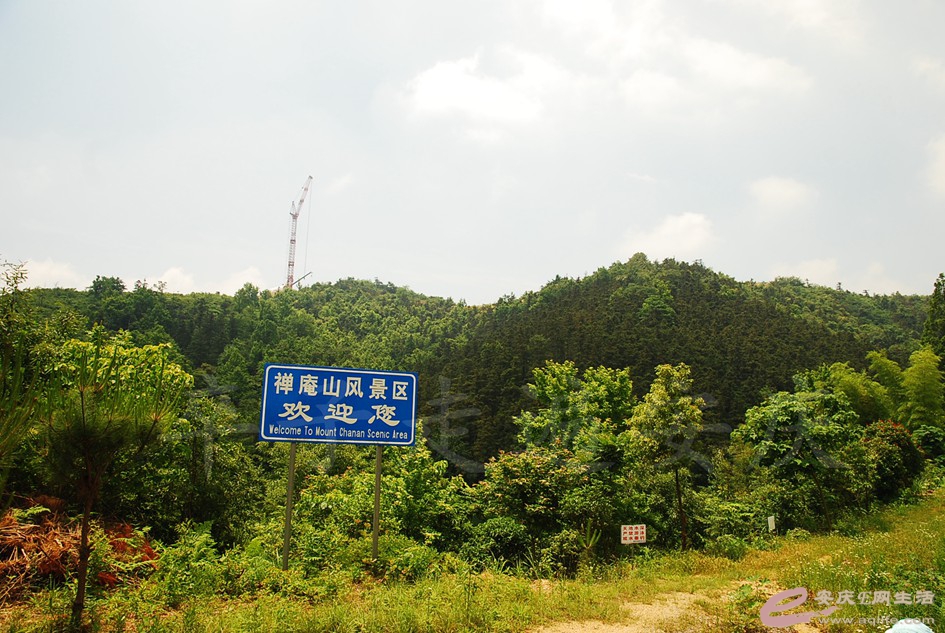 DSC_4303.jpg