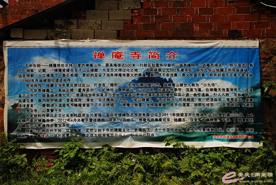 DSC_4304.jpg