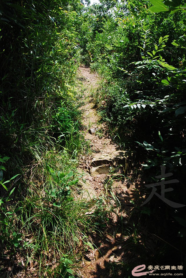 DSC_4322.jpg