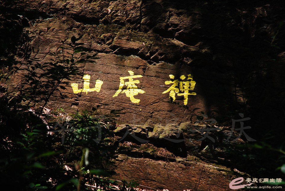 DSC_4324.jpg